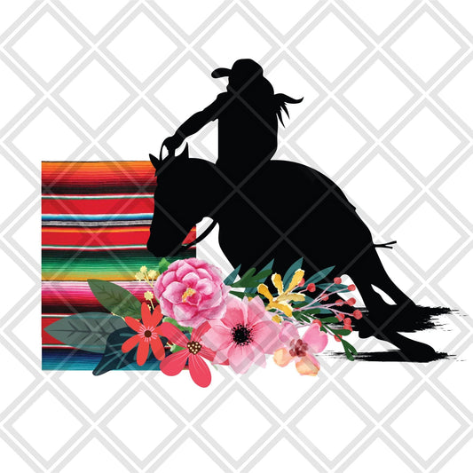 COWGIRL SERAPE HORSE DTF TRANSFERPRINT TO ORDER - Do it yourself Transfers