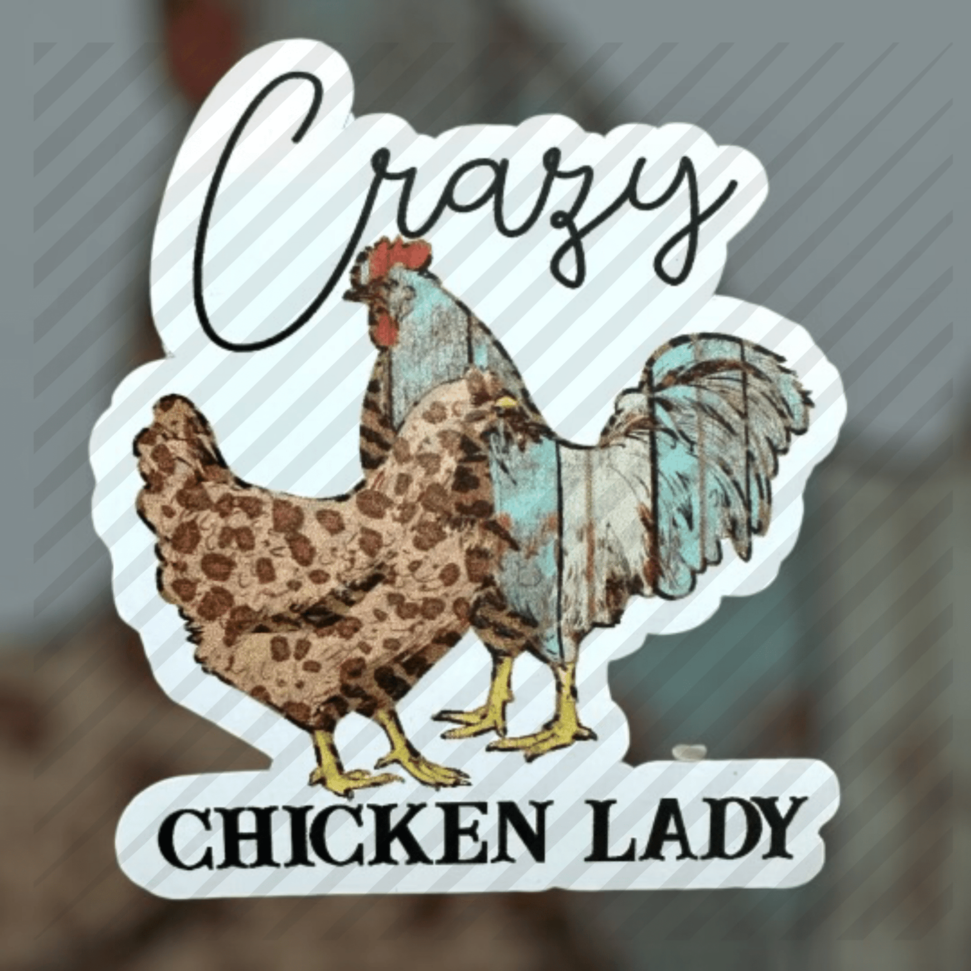 RTS Crazy Chicken Lady STICKER 3X3.5 - Do it yourself Transfers